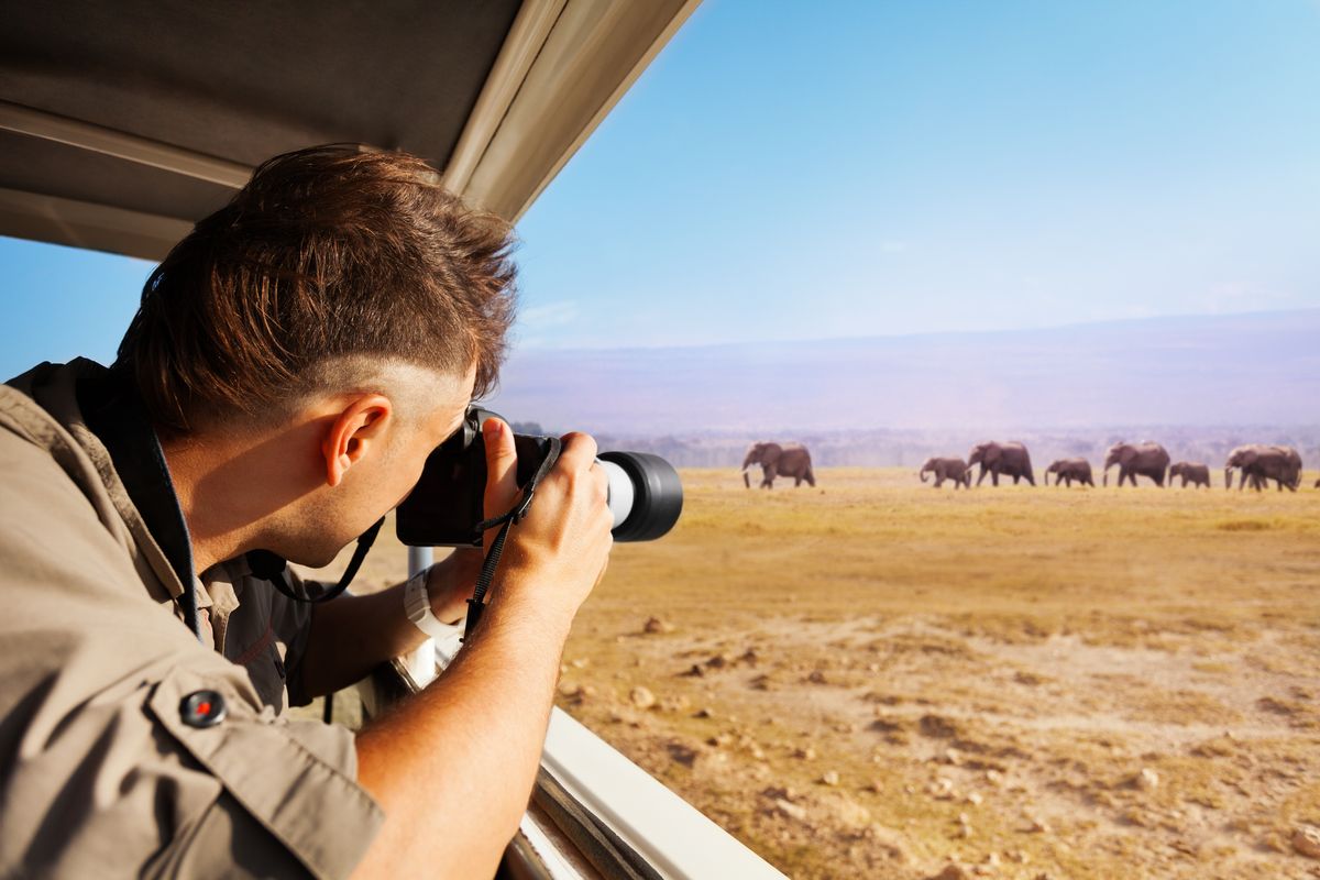 Capturing the Wild: The Best Wildlife Travel Photos and How to Take Them